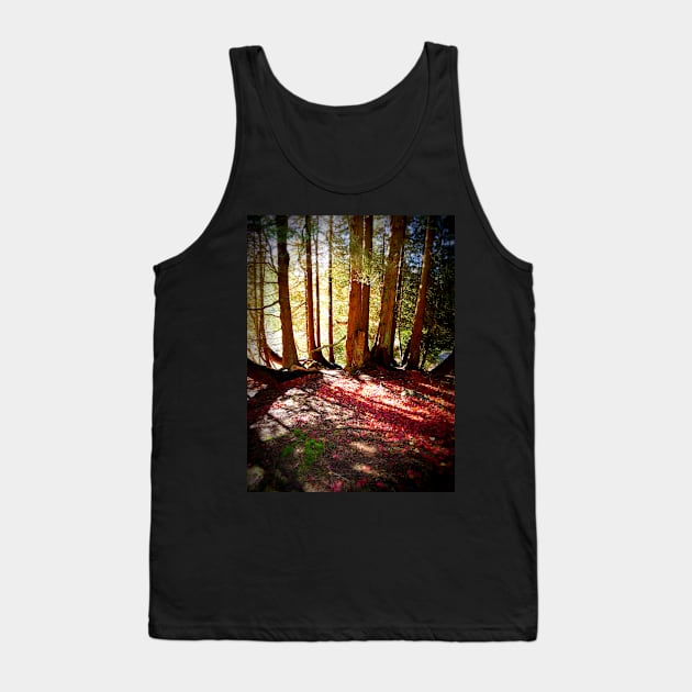 Forest Beams, Stourhead Landscape Gardens, UK Tank Top by JonDelorme